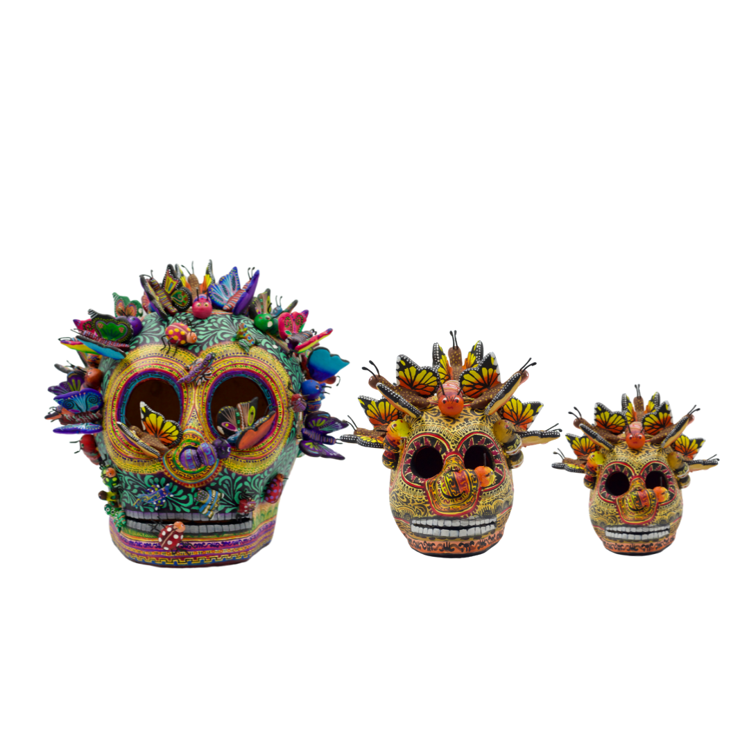 Craneo de mariposas | Mediano