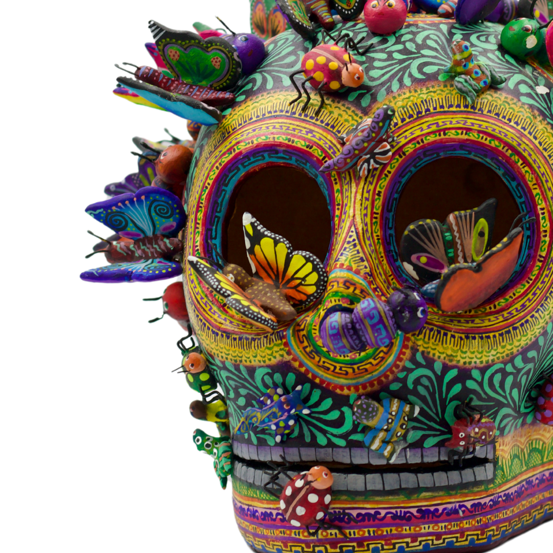 Craneo de mariposas | Grande
